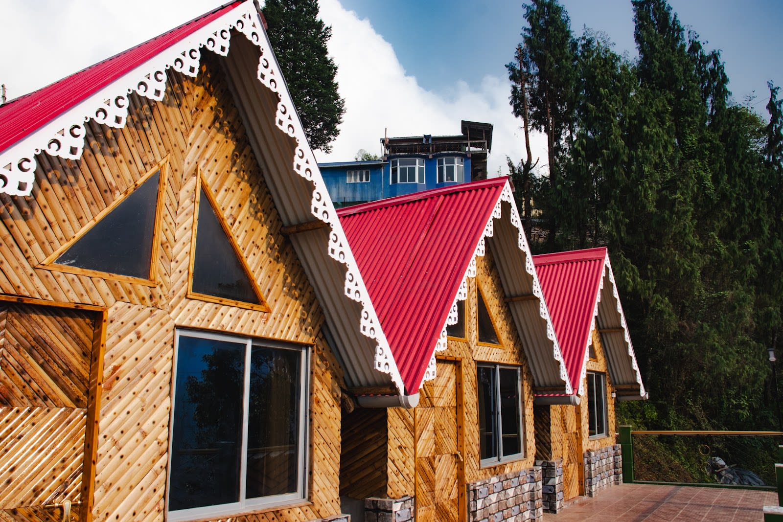 Beautiful Cabins in tea estate w/ yum meals in Mim Tea Garden, Bengal 2