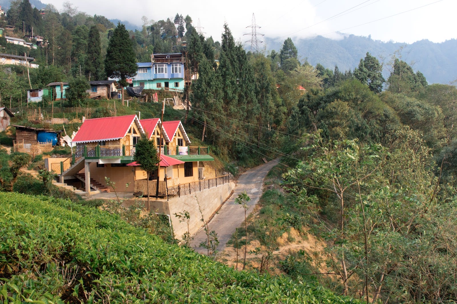 Beautiful Cabins in tea estate w/ yum meals in Mim Tea Garden, Bengal 8