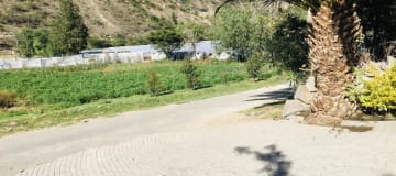 Venta de 3 y 1/2 hectáreas terreno para tomate cherry y girasol