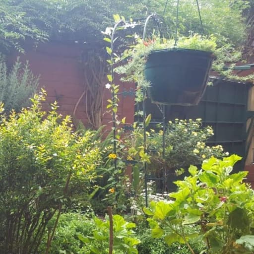 image0