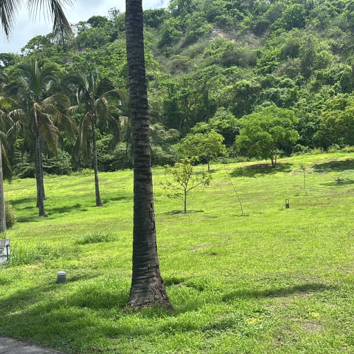 image8