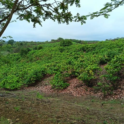 image0