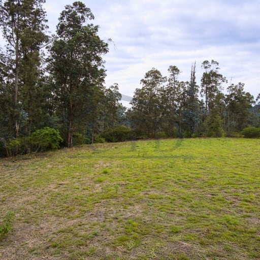 image0