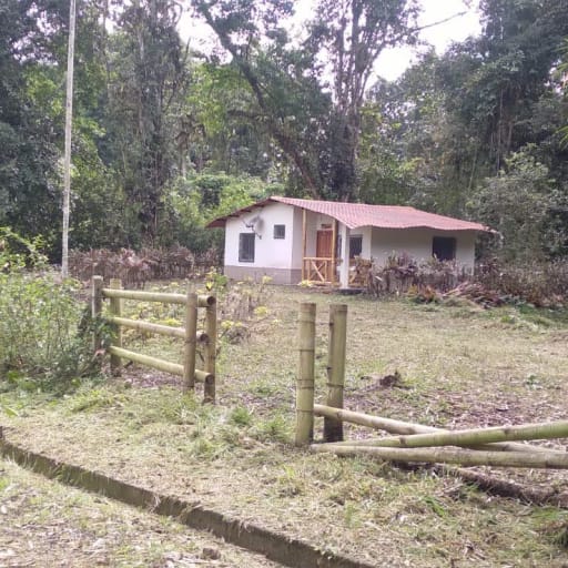 image13