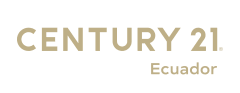 Developer logo