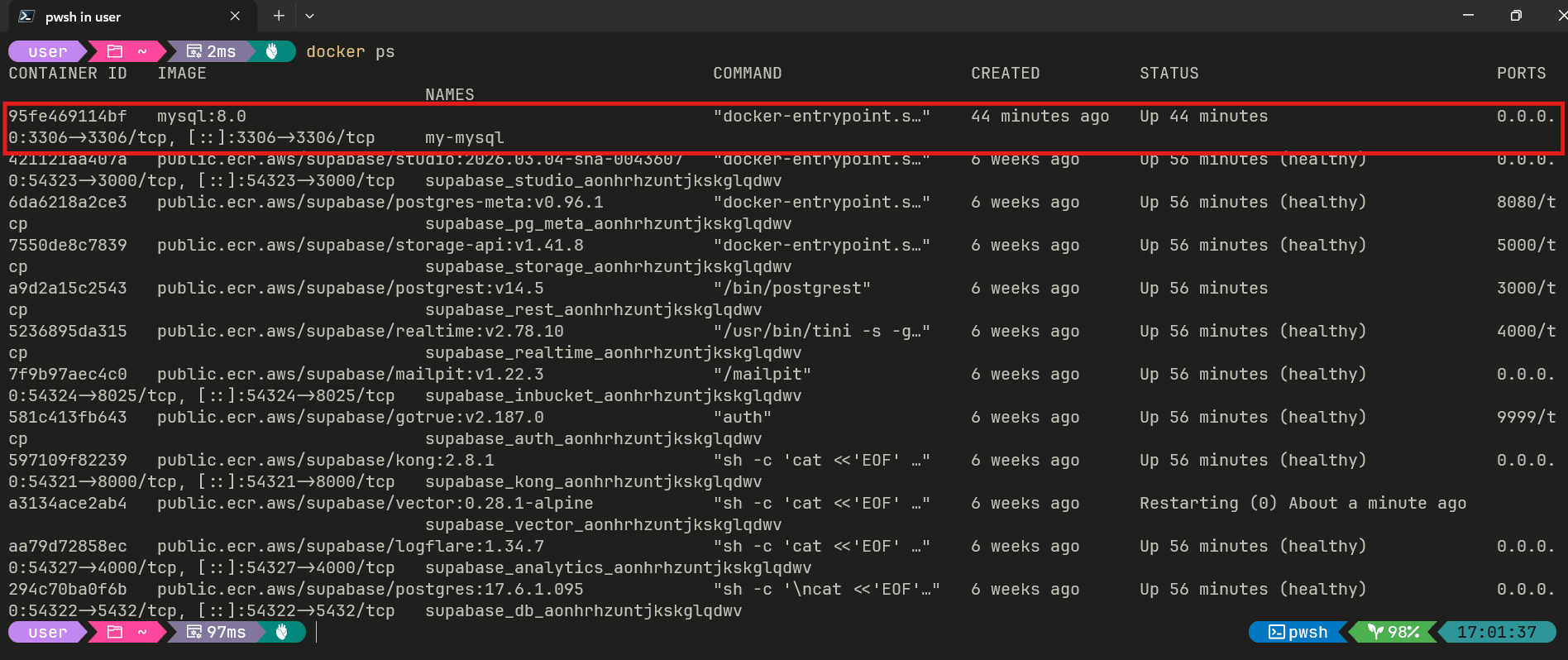 mysql-docker-setup-03.png