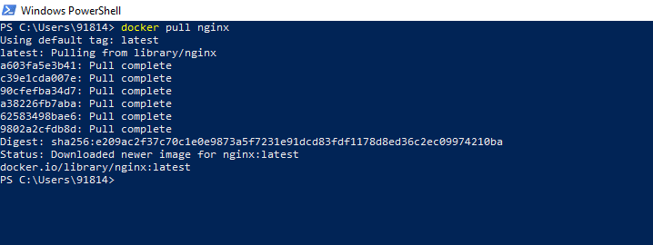 docker pull nginx image