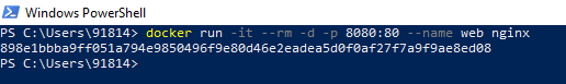 docker run nginx container