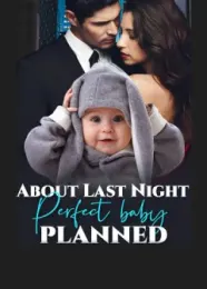 Book cover of “About Last Night: Perfect Baby Planned“ by undefined