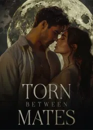 Book cover of “Torn Between Mates“ by undefined