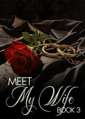 Book cover of “Meet My Wife. Book 3“ by LiL A