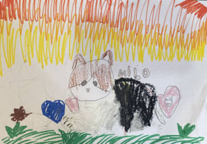 qcipv1h5bguzcstojdw7