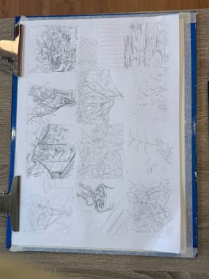 Young girl learnt sketching