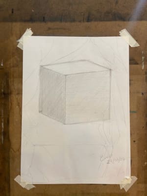 Lady learnt pencil drawing