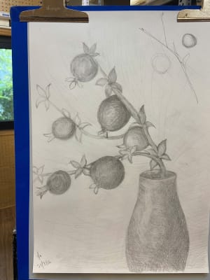 Lady learnt pencil drawing