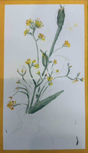 Watercolor painting with basic watercolor