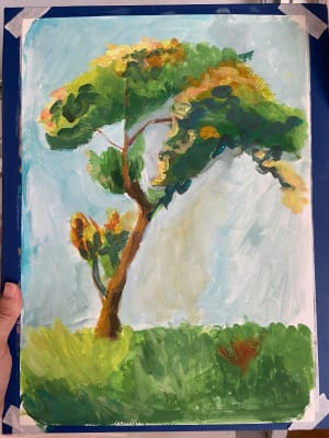 Lady learnt colorsketching
