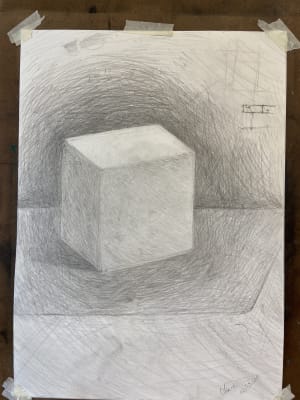Lady learnt pencil drawing
