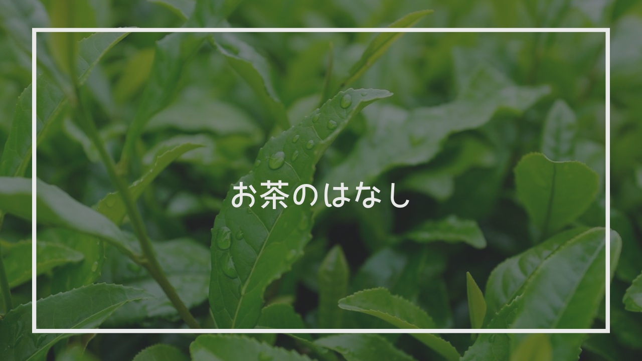 茶道部のススメ(4)：茶道部の人間関係ってどう？〜学生部活ならではの距離感と学び