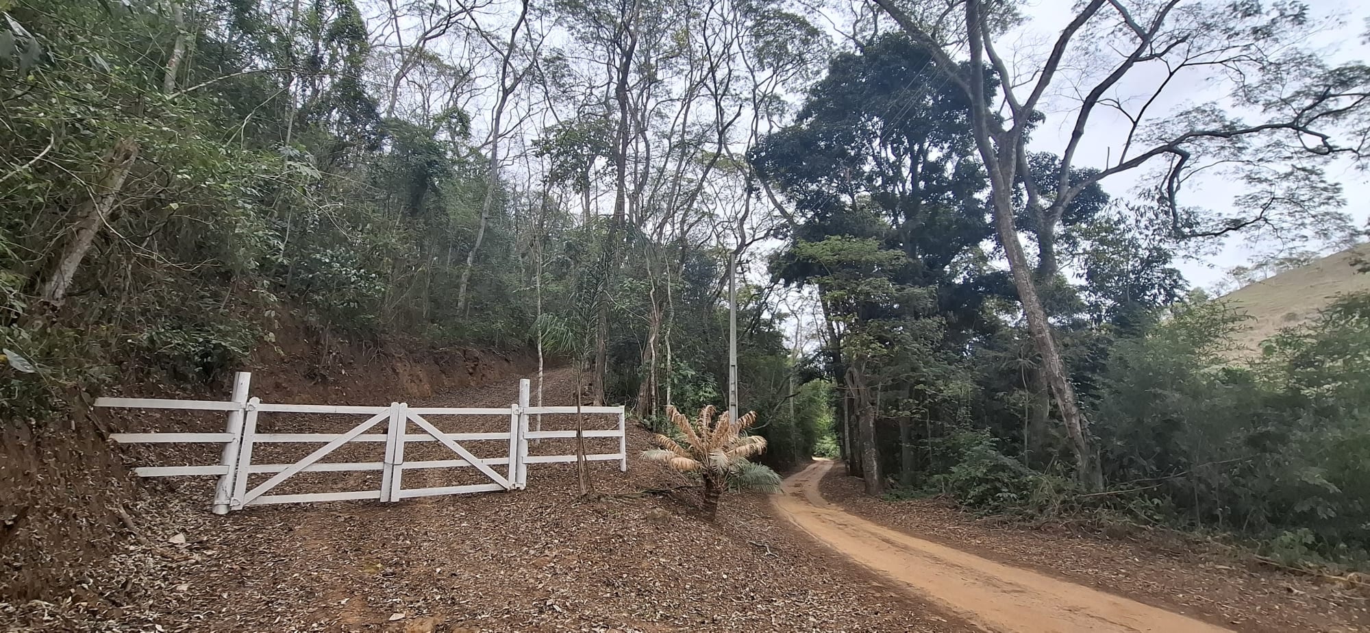 Terreno com excelente topografia em Areal.