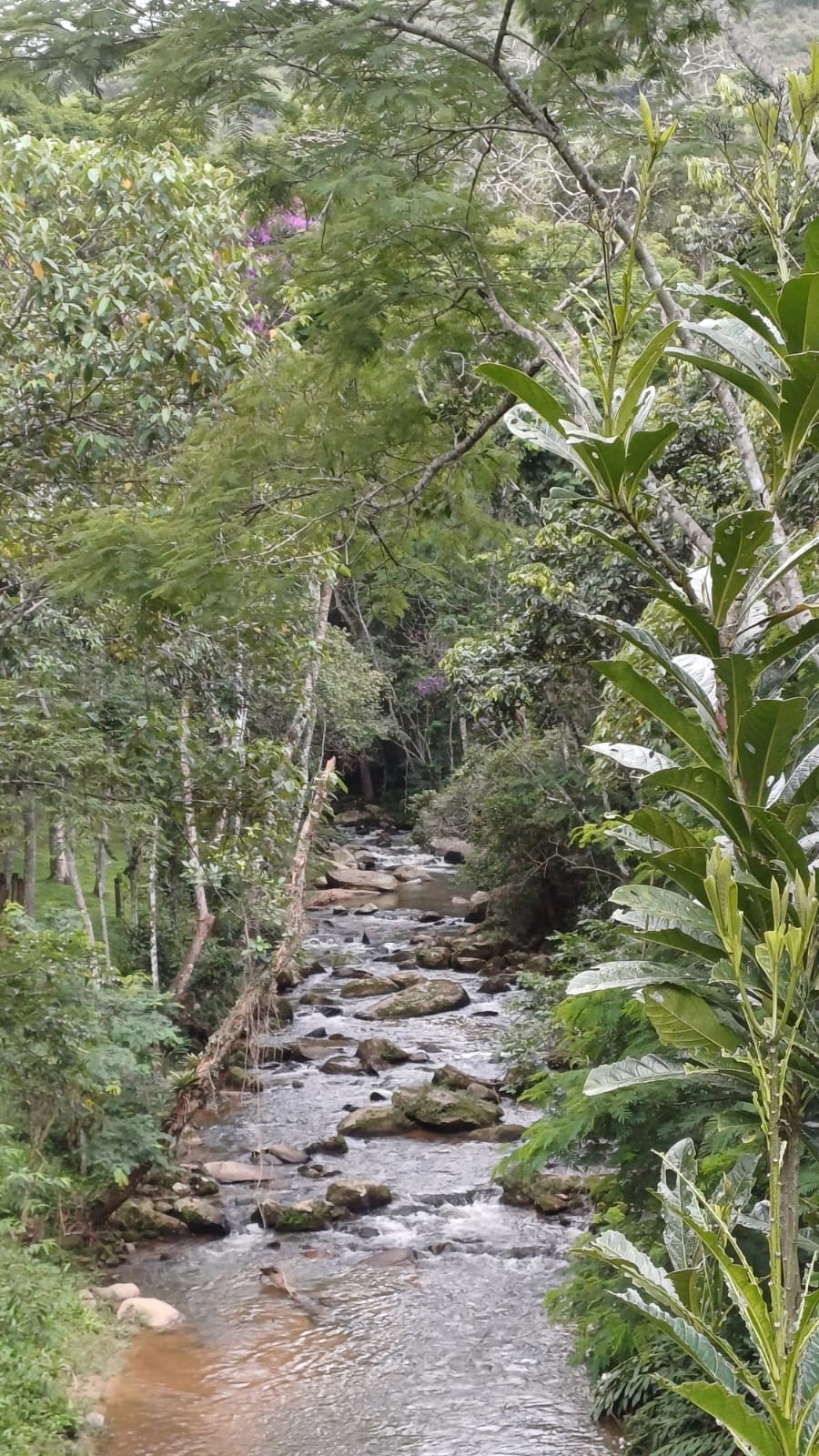 Sitio com natureza exuberante no Vale das Videiras.