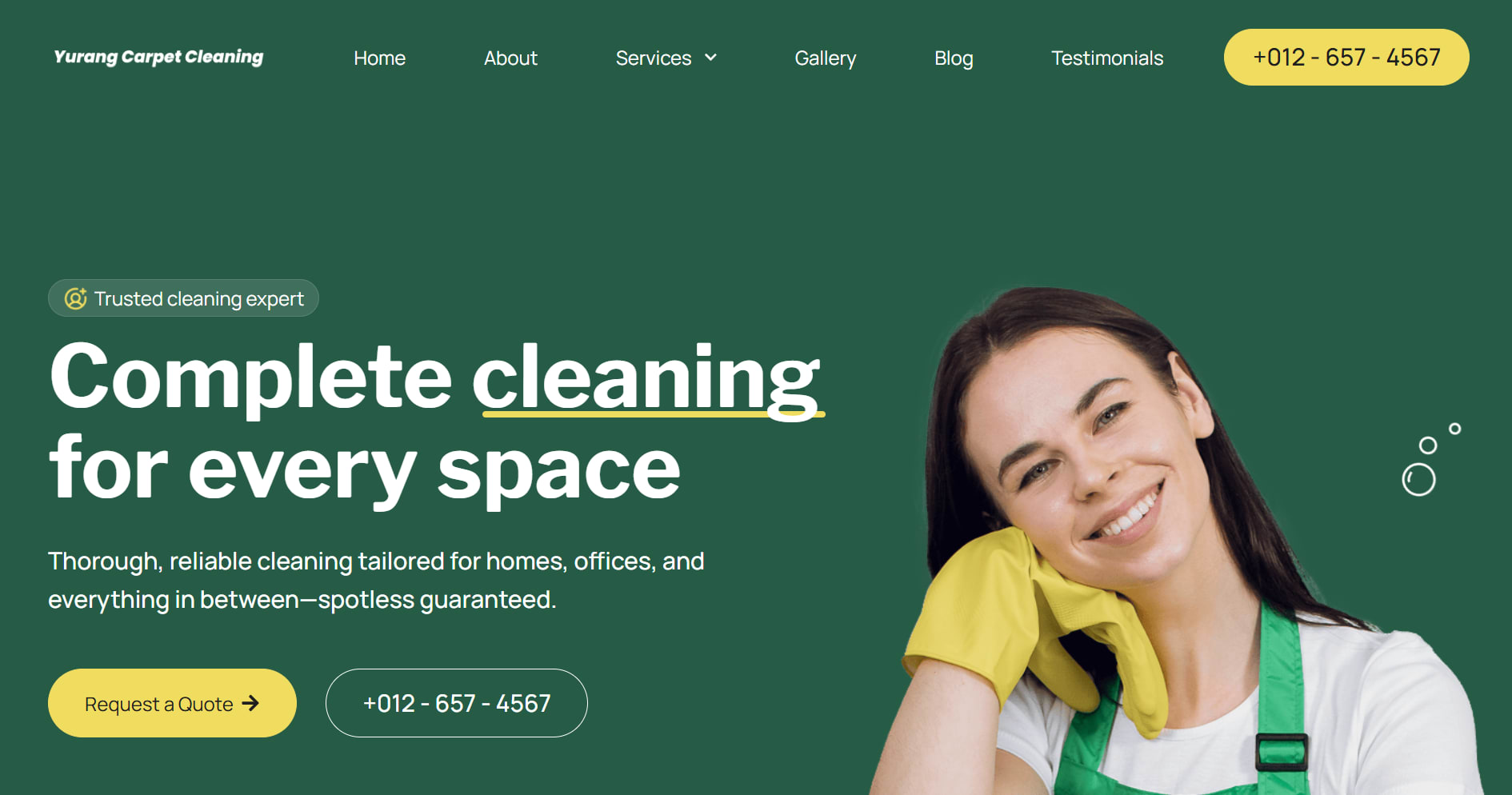 Local Cleaning Company Website