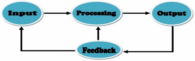 feedback to input processing and output