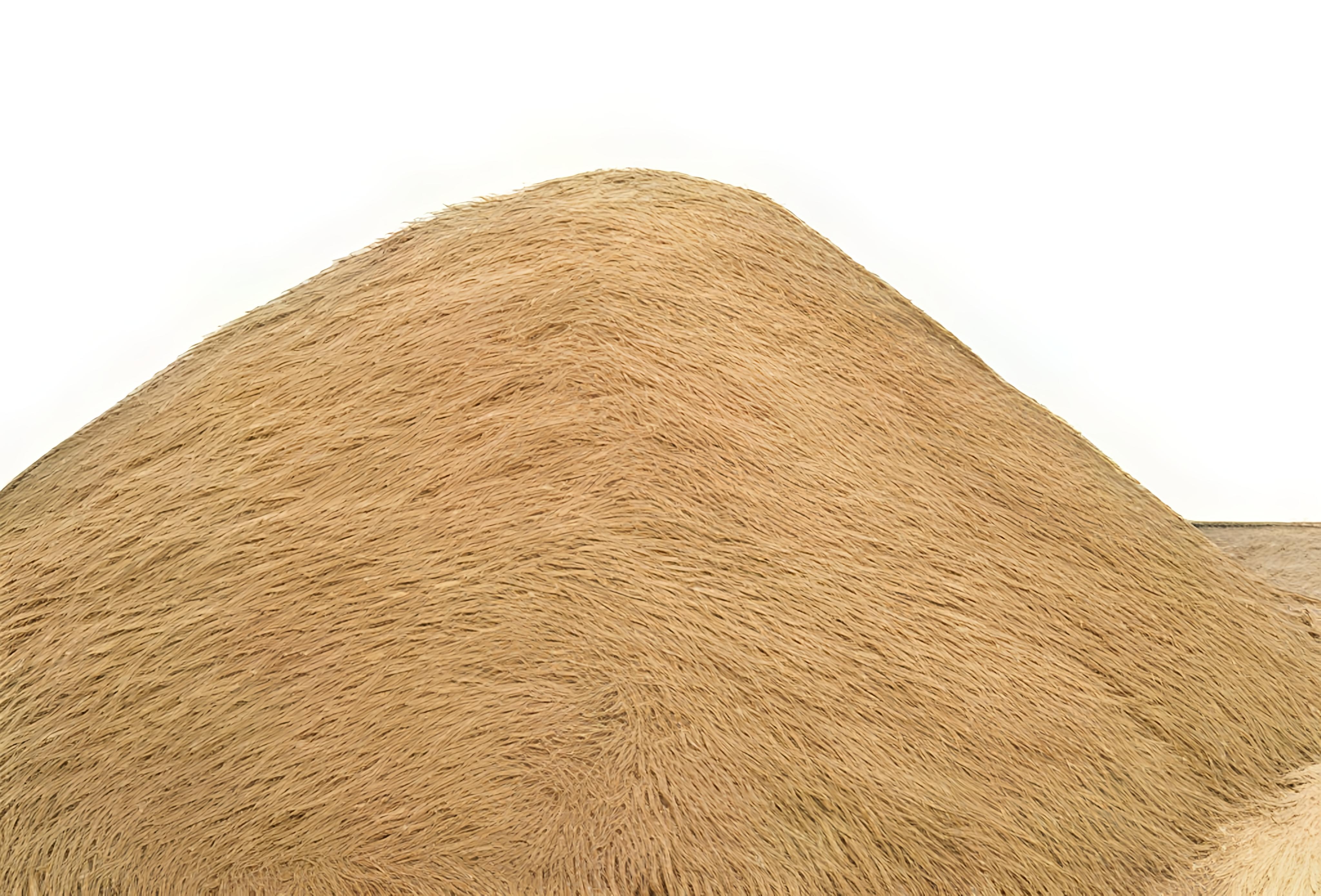 Manufactured Sand – Sand supplier Chennai