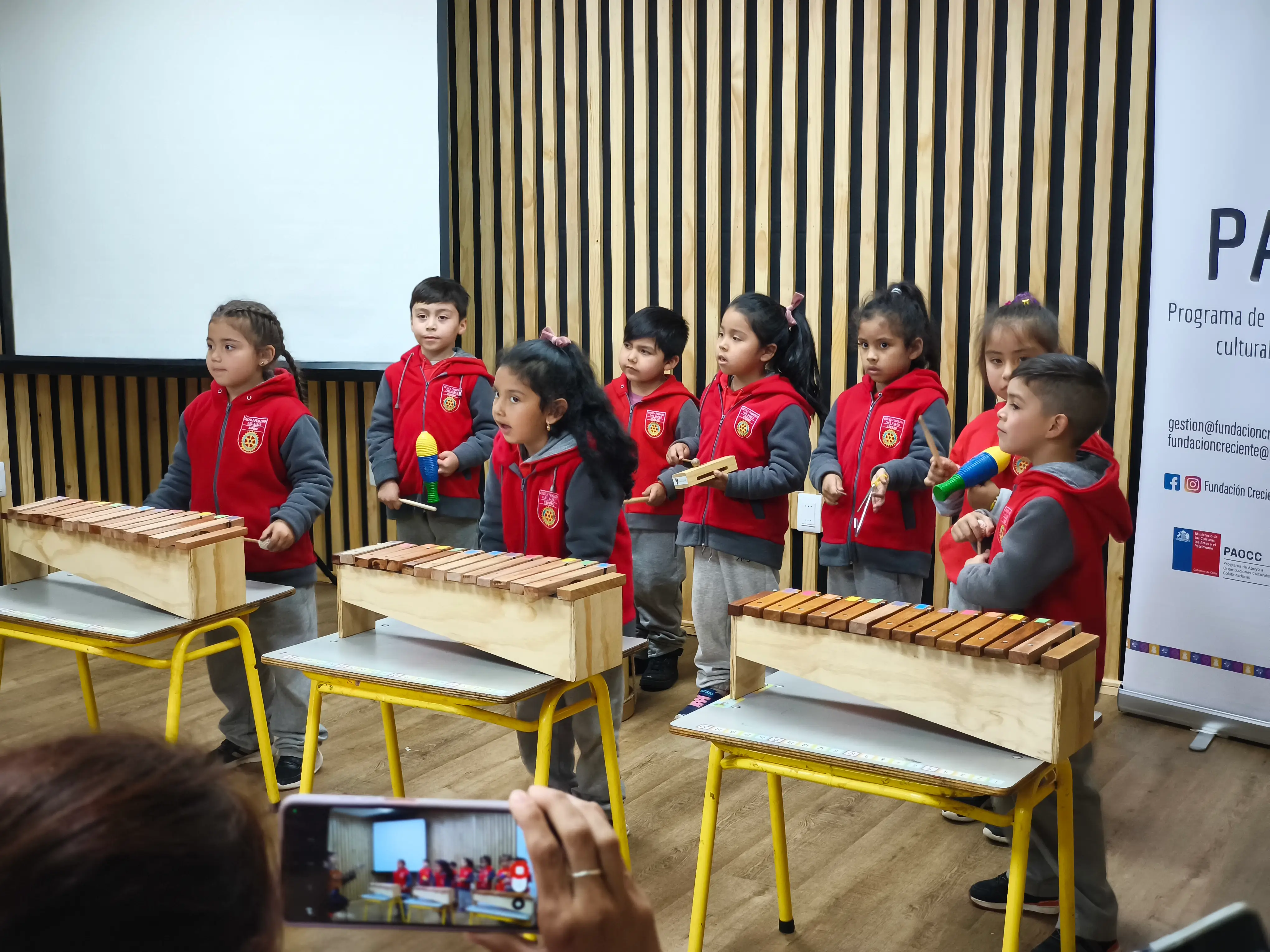 Finalización Programa educación musical temprana - Paul Harris