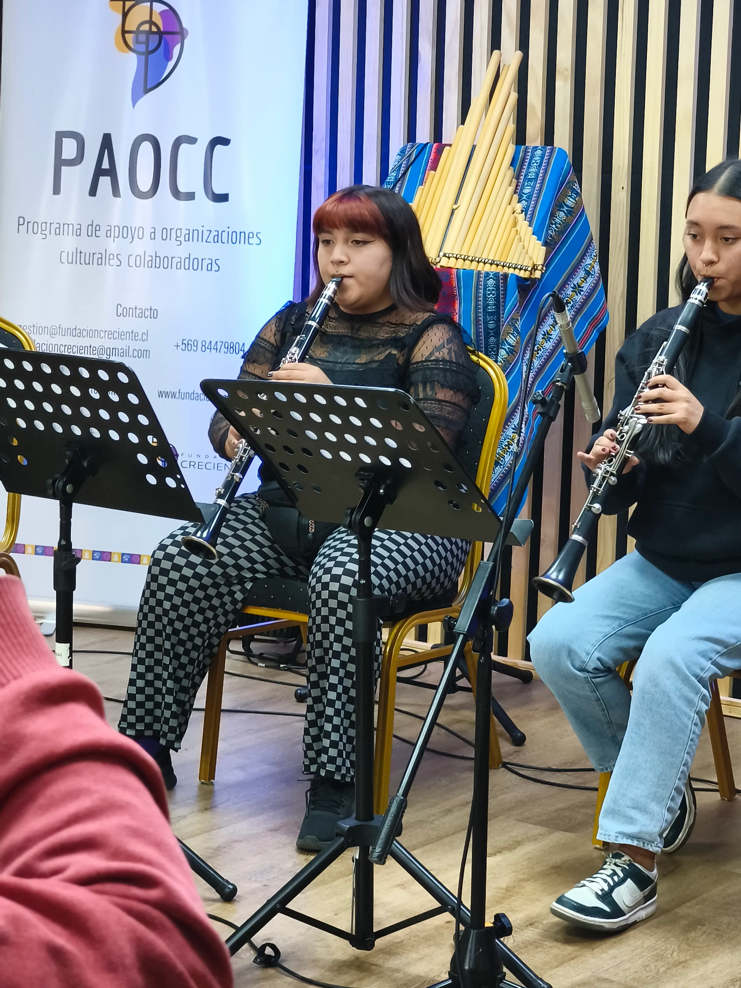 Finalización Talleres Instrumentos Latinoamericanos y Taller de Clarinente