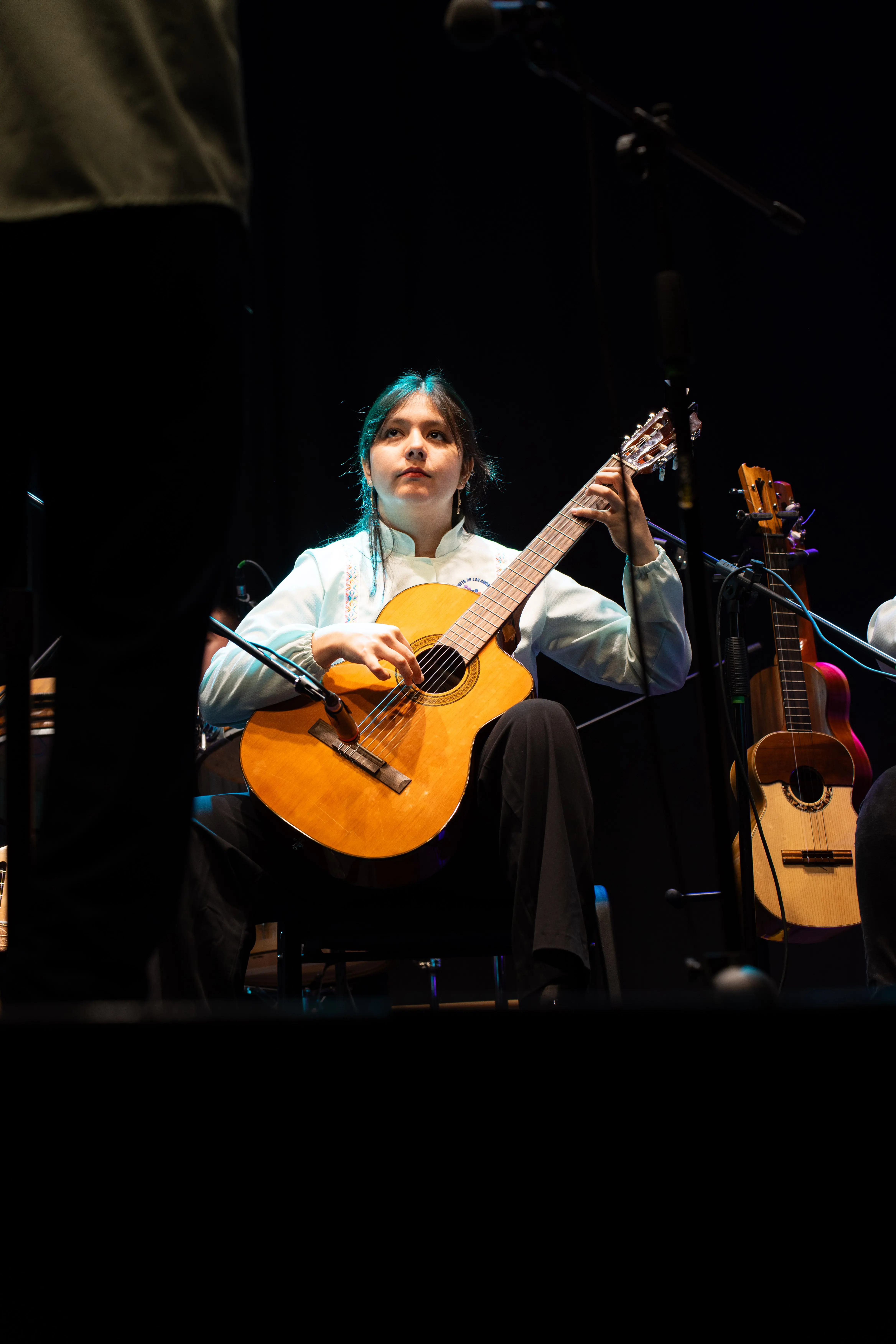 esperanza barría guitarra requinto tiple colombiano
