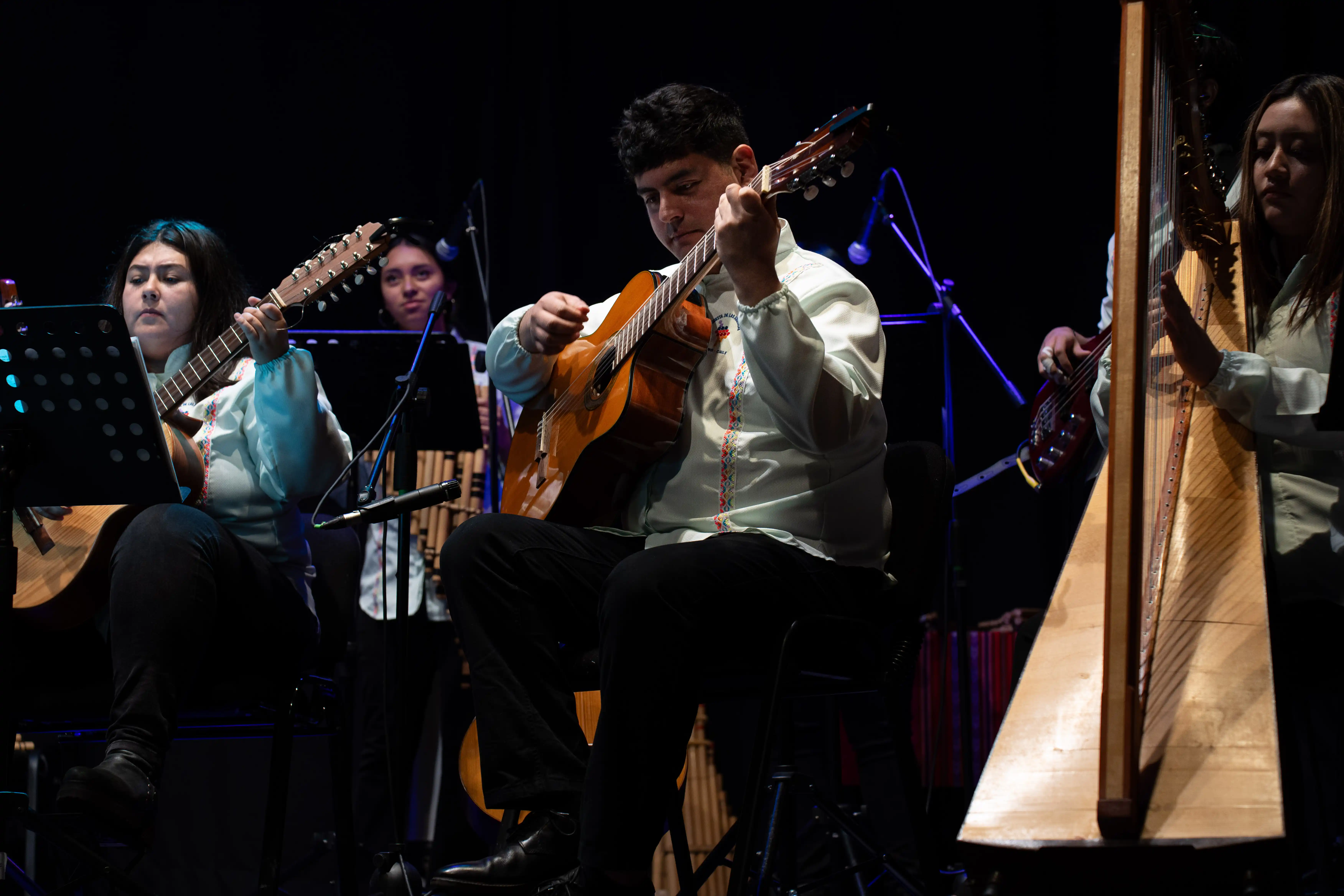 Francisco Henríquez guitarra guitarrón cuyano