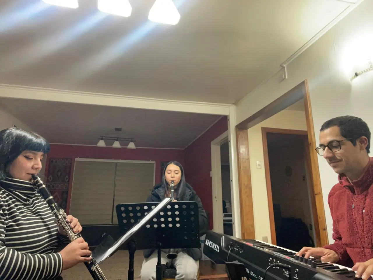 Especialización Integrantes Orquesta de las Américas