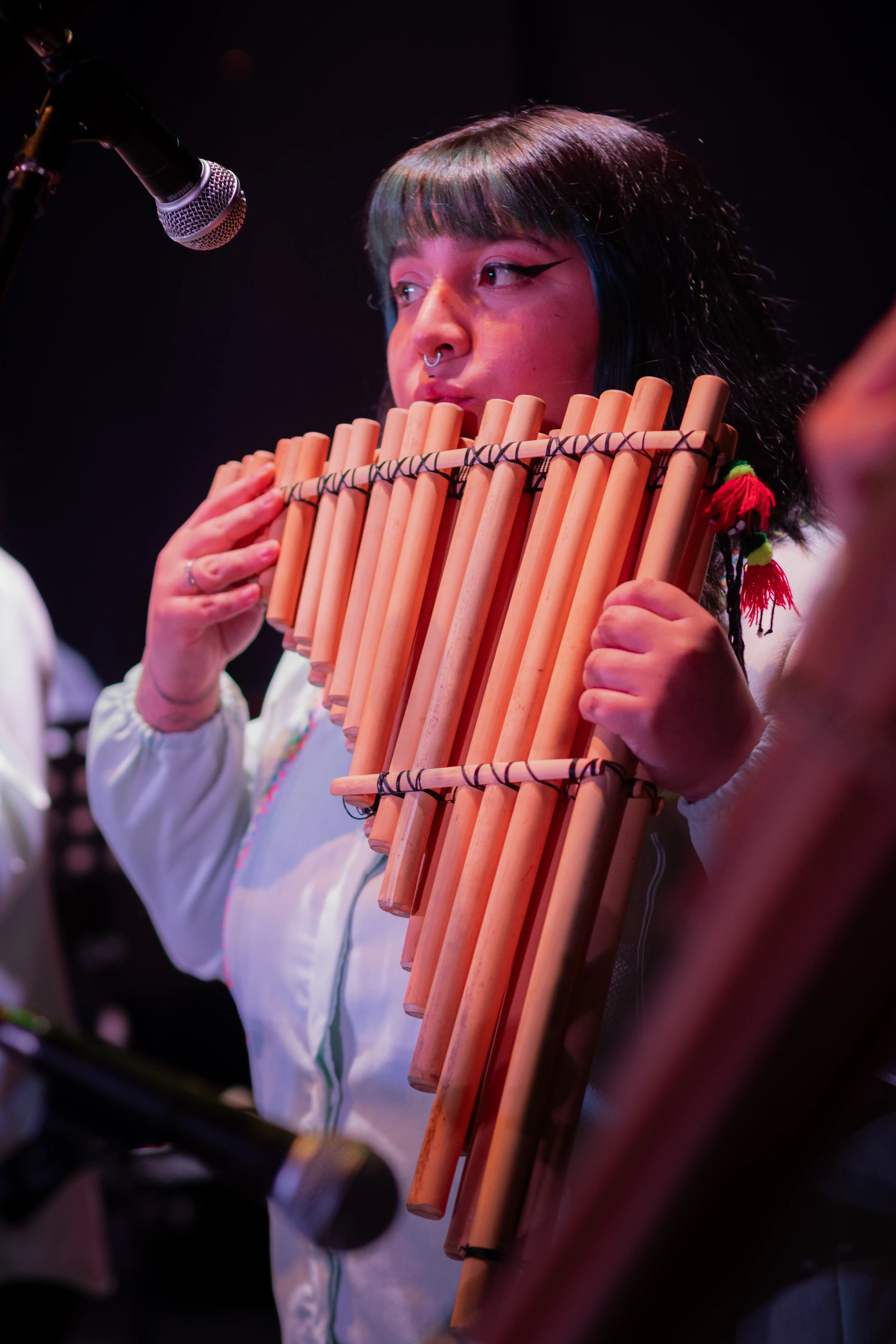 Michelle Higueras vientos andinos