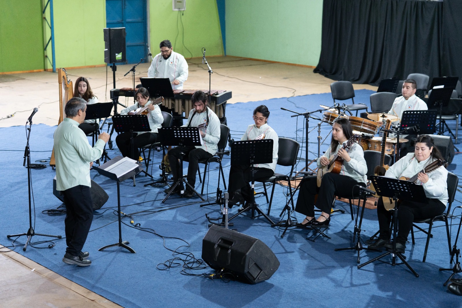 Concierto ODELAS - Fresia 2025