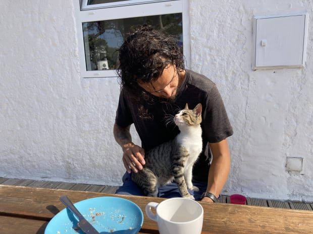 The kitten sitting on my lap during breakfast