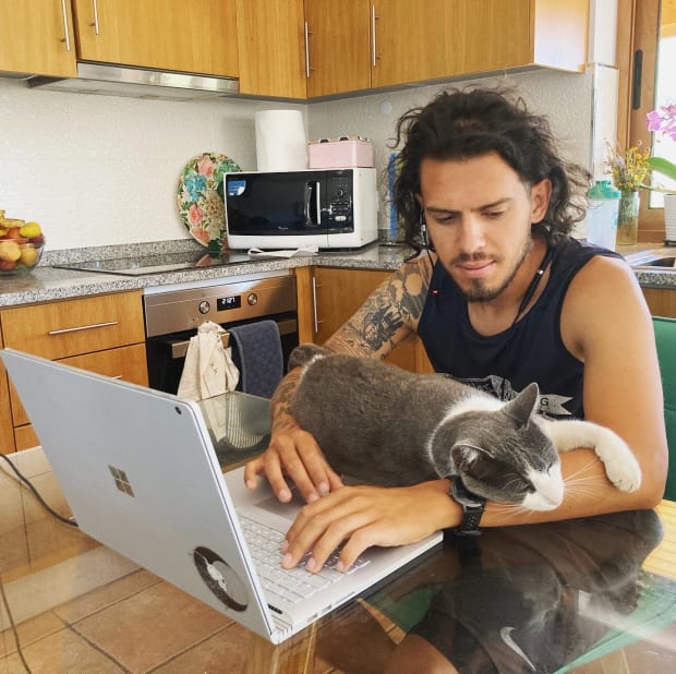 Me trying to work with Tiddle the cat lying over my arms