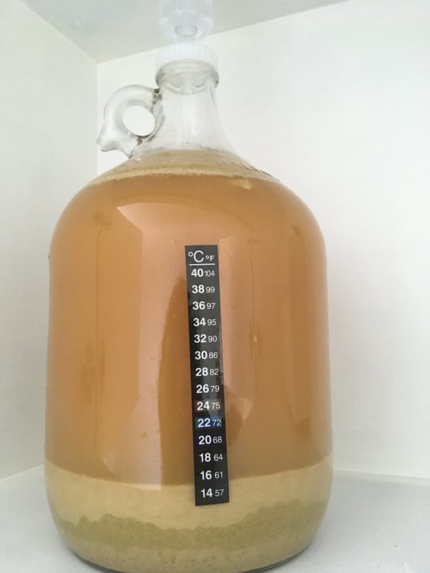 Beer fermenting in a demijon