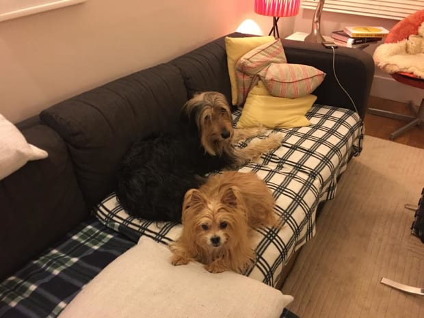 Henry and Millie