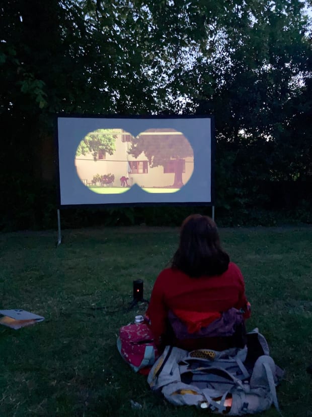 Watching Bottlerocket in the park