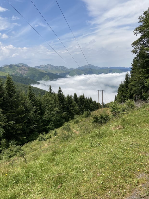 The view from the top of the mountains. Trees, clouds, and a power line.