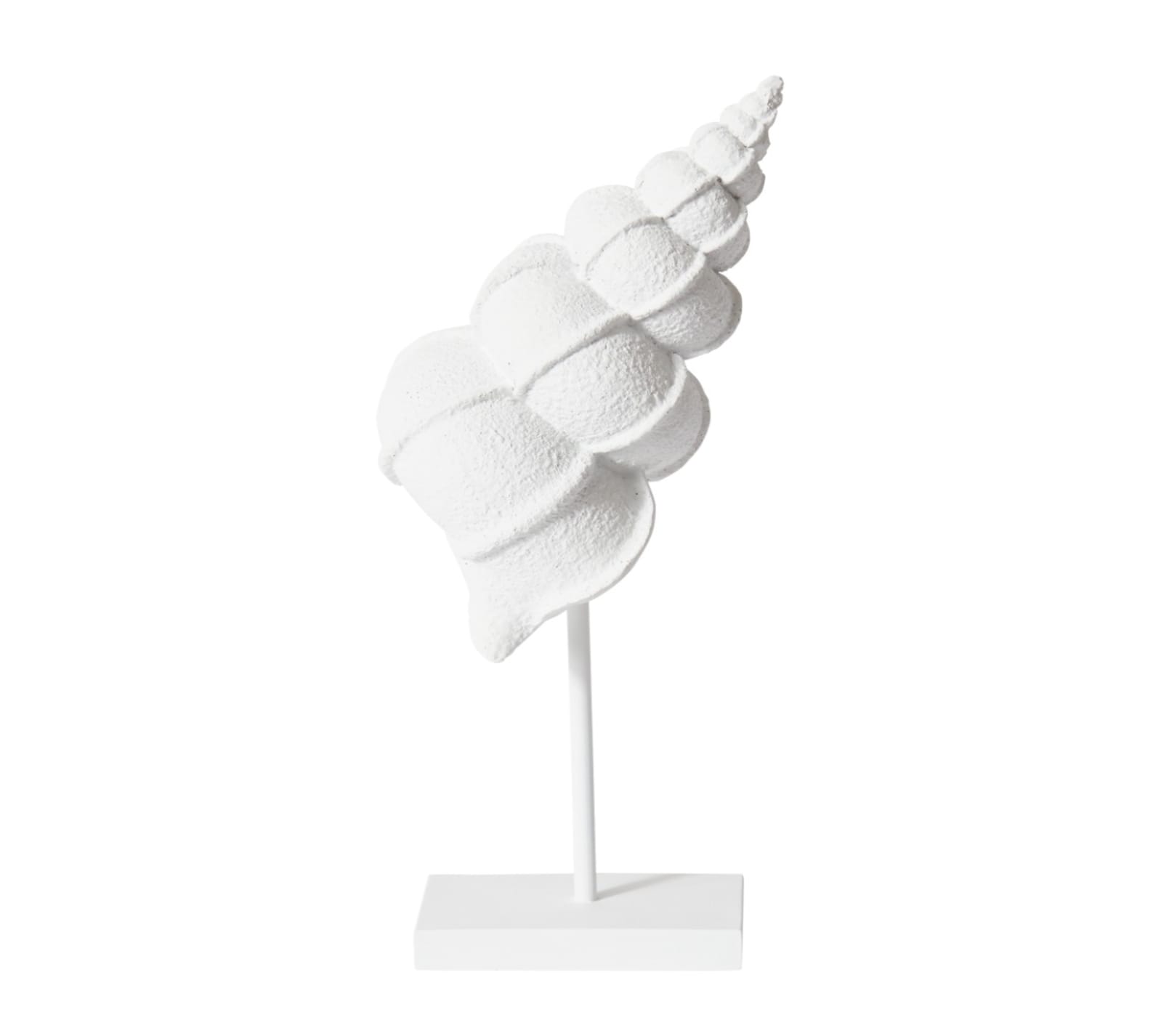 Shop Conch Shell Stand Sculpture - 12cm x 12cm x 35cm at Sleeping Giant ...