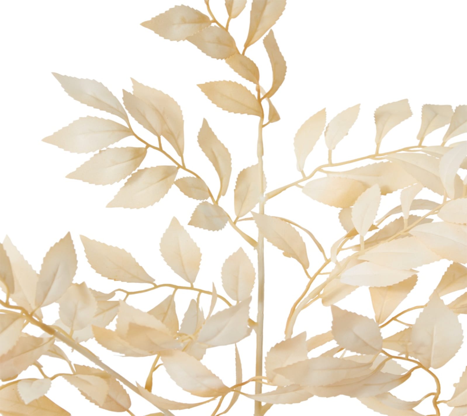 Willow Leaf Spray - 35 x 33 x 78cm 