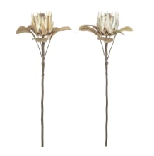King Protea Dried Stem (Mixed) - 66cm 