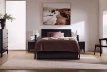 Lanoz Gas Lift Bed Black color Black