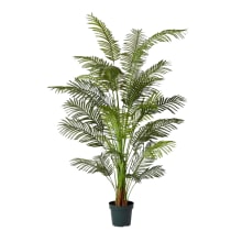Areca Palm Potted Plant Green - 120cm x 120cm x 213cm color Green