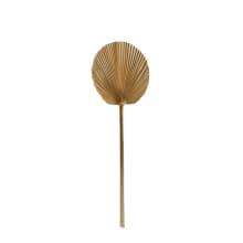 Dried Fan Palm Mini Steam Natural - 15cm x 1cm x 45cm 