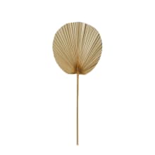 Dried Fan Palm Stem Natural - 30cm x 1cm x 73cm 
