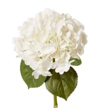 Hydrangea Classic Stem (Fresh Touch) - 30 x 20 x 52cm color White