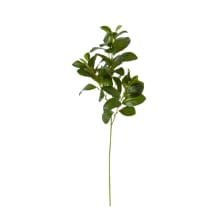 Lush Leaf Spray Green color 68194202